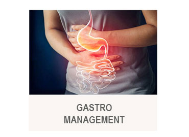 GASTRO MANAGEMENT
